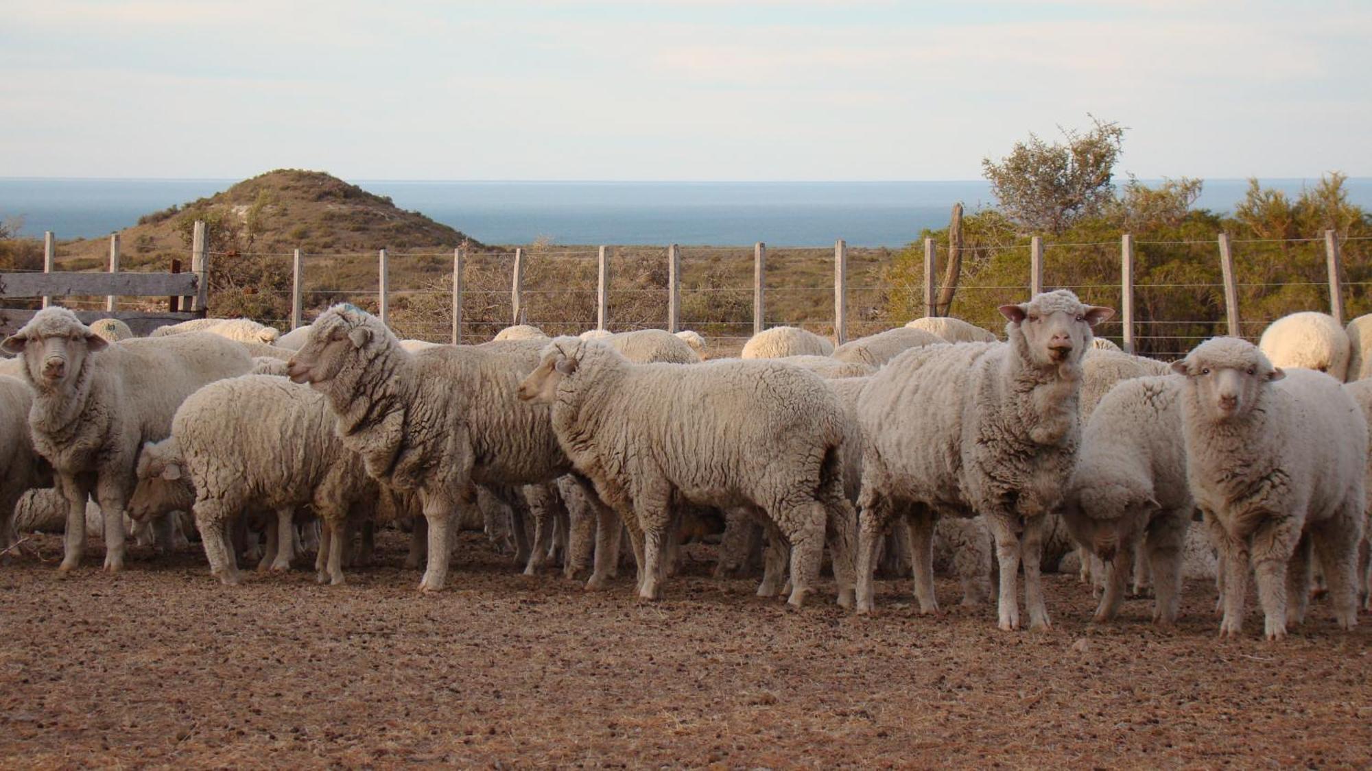 La Antonieta Estancia De Mar Dos Pozos Dış mekan fotoğraf