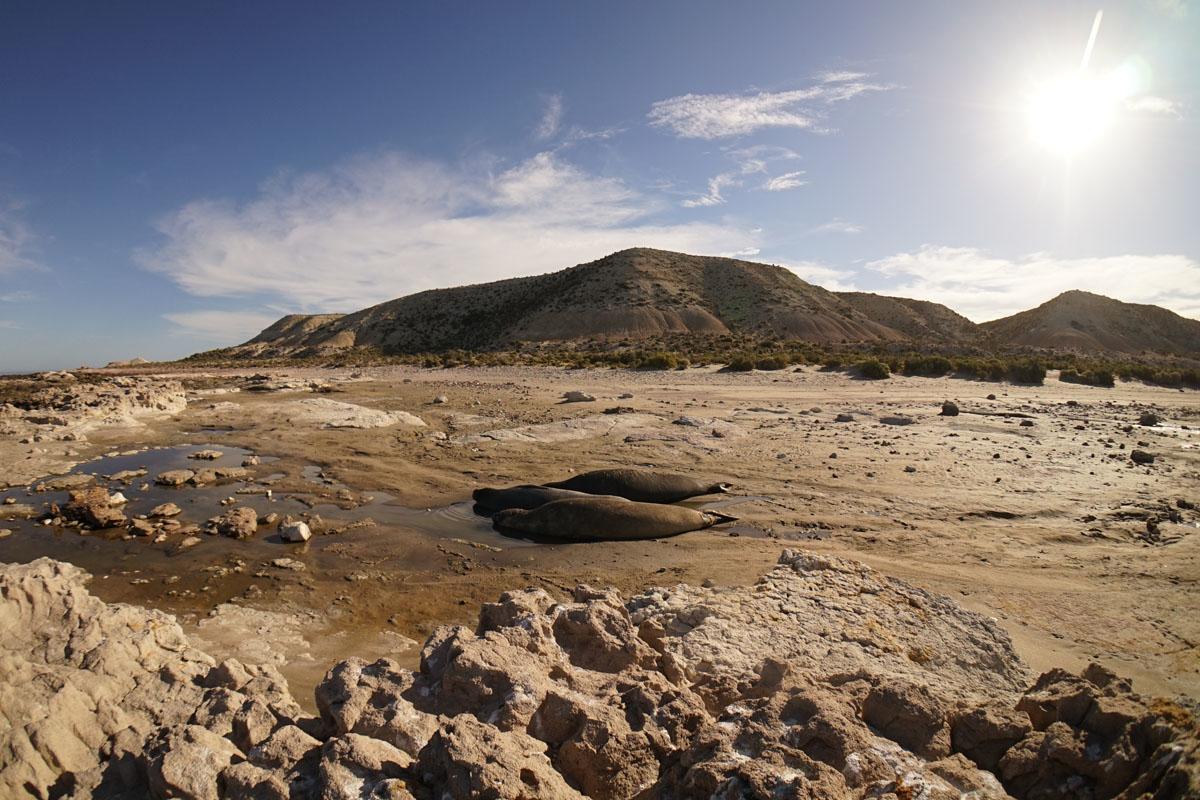 La Antonieta Estancia De Mar Dos Pozos Dış mekan fotoğraf